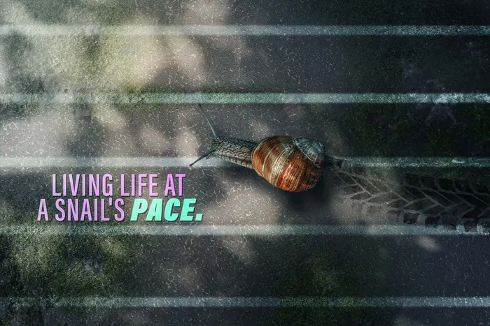 Poster „Living Life at a Snail’s Pace“
